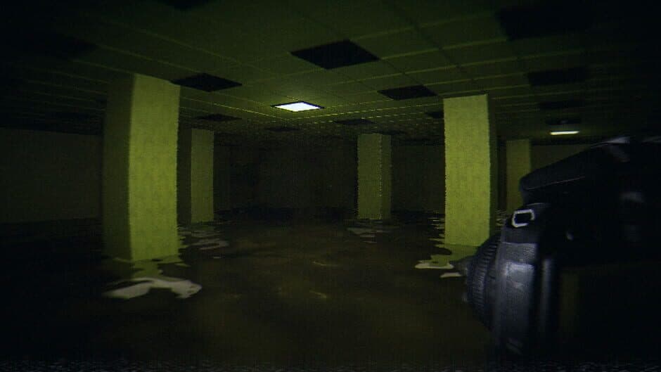 HorrorCore: Maze and Pools of Horror screenshot 2