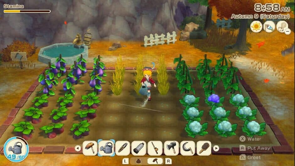 Story of Seasons: Grand Bazaar Super screenshot 4