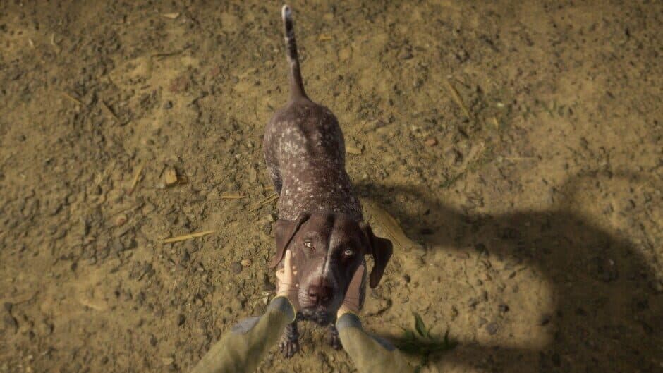 theHunter: Call of the Wild - German Shorthaired Pointer screenshot 1