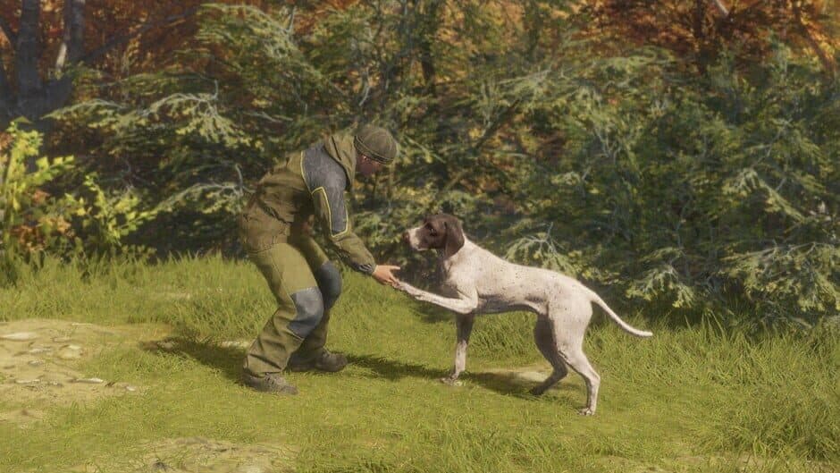 theHunter: Call of the Wild - German Shorthaired Pointer screenshot 6