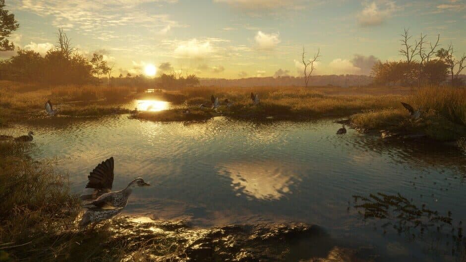 theHunter: Call of the Wild - Salzwiesen Park screenshot 1