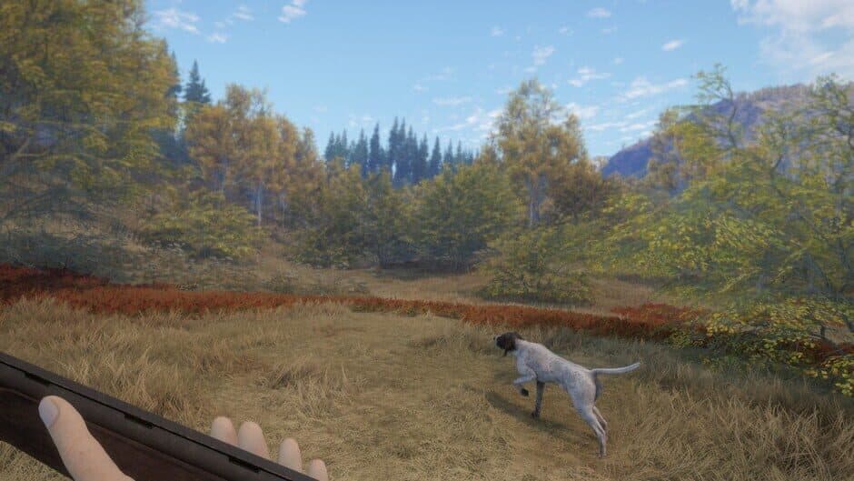 theHunter: Call of the Wild - German Shorthaired Pointer screenshot 3