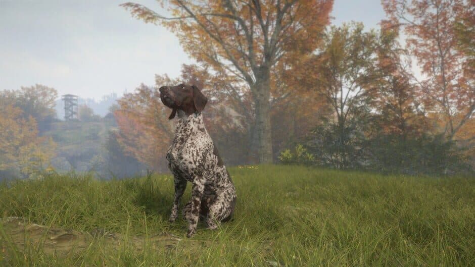 theHunter: Call of the Wild - German Shorthaired Pointer screenshot 5