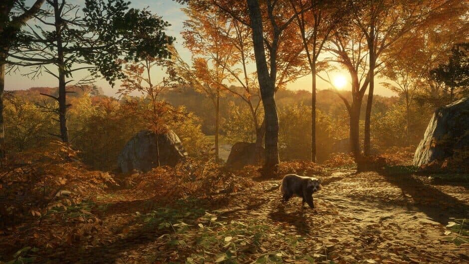 theHunter: Call of the Wild - Salzwiesen Park screenshot 5