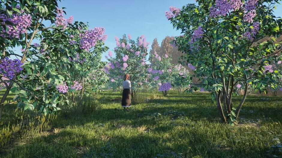 Arcadian Days screenshot 3
