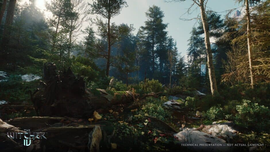 The Witcher screenshot 6
