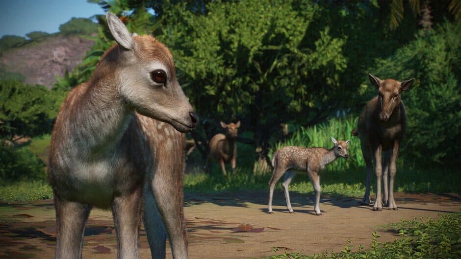Planet Zoo - Asia Animal Pack screenshot 3