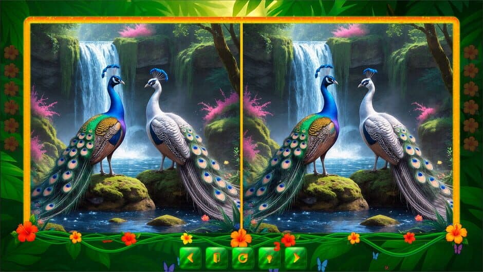 BirdQuest Find the Difference screenshot 5