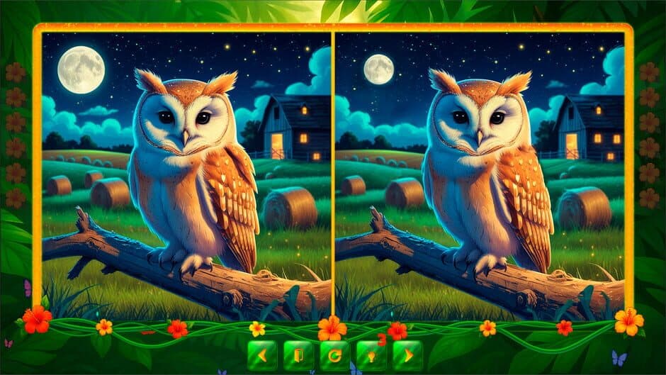 BirdQuest Find the Difference screenshot 6
