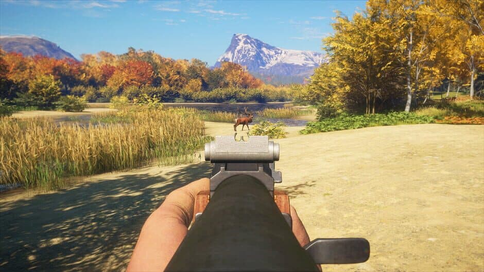 theHunter: Call of the Wild – Rapid Hunt Rifle Pack screenshot 1