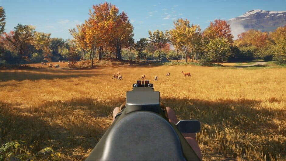 theHunter: Call of the Wild – Rapid Hunt Rifle Pack screenshot 2