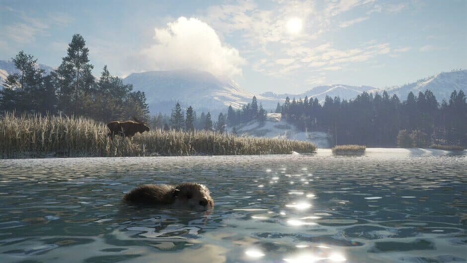 theHunter: Call of the Wild – Alberta Hunting Preserve screenshot 4