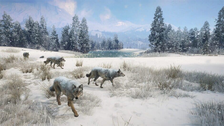 theHunter: Call of the Wild – Alberta Hunting Preserve screenshot 6