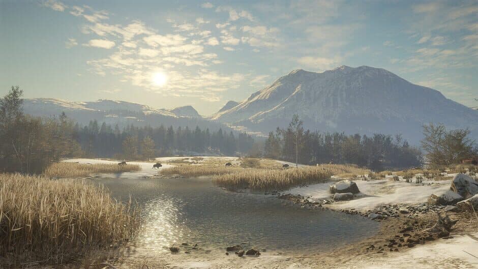 theHunter: Call of the Wild – Alberta Hunting Preserve screenshot 5