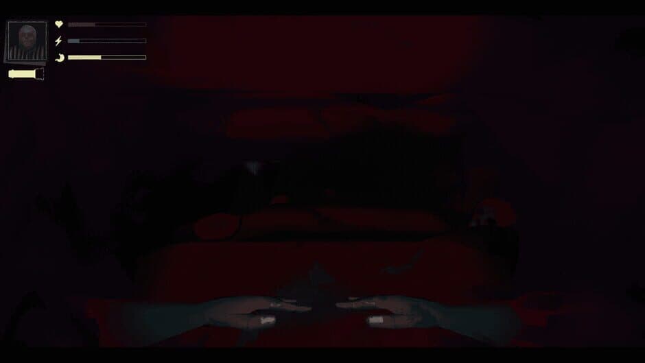PETRACAL screenshot 5