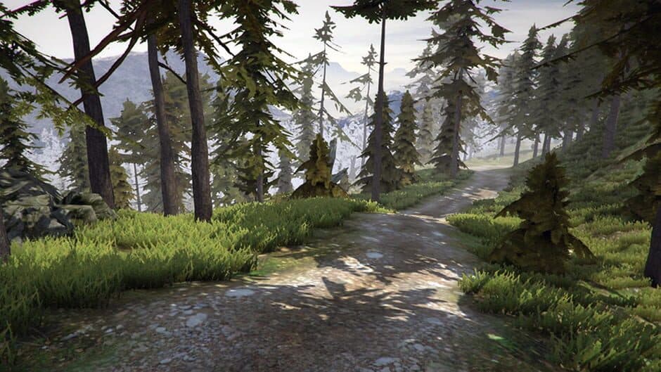 MTB Downhill Simulator screenshot 6
