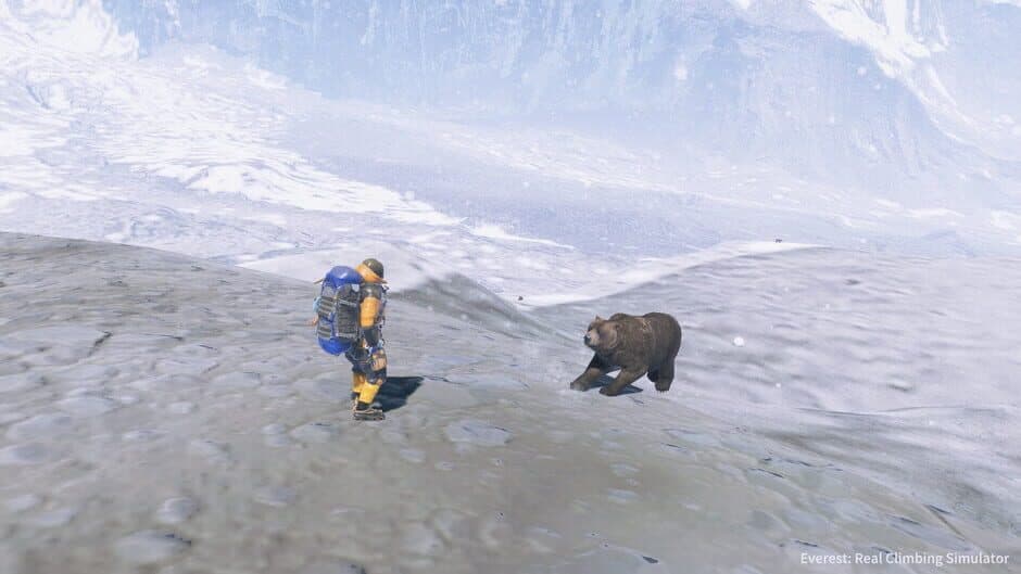 Everest: Real Climbing Simulator screenshot 5
