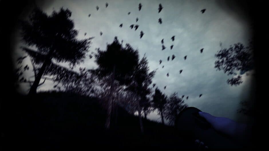 Light & Dark - Bundle screenshot 1