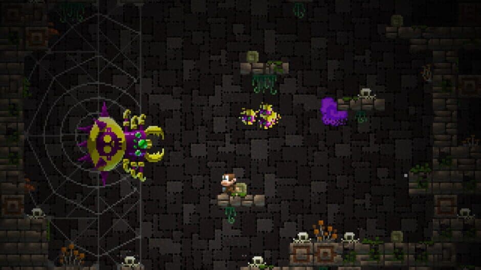 Adventure Apes and the Mayan Mystery screenshot 5