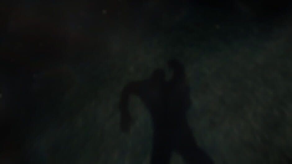 Reflecting Fate screenshot 5
