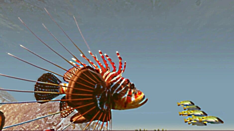 Zen Fish SIM screenshot 2