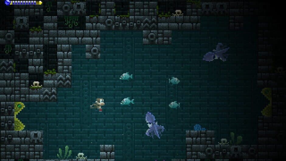 Adventure Apes and the Mayan Mystery screenshot 4