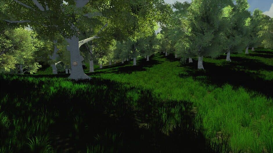 Trials of Wilderness screenshot 5