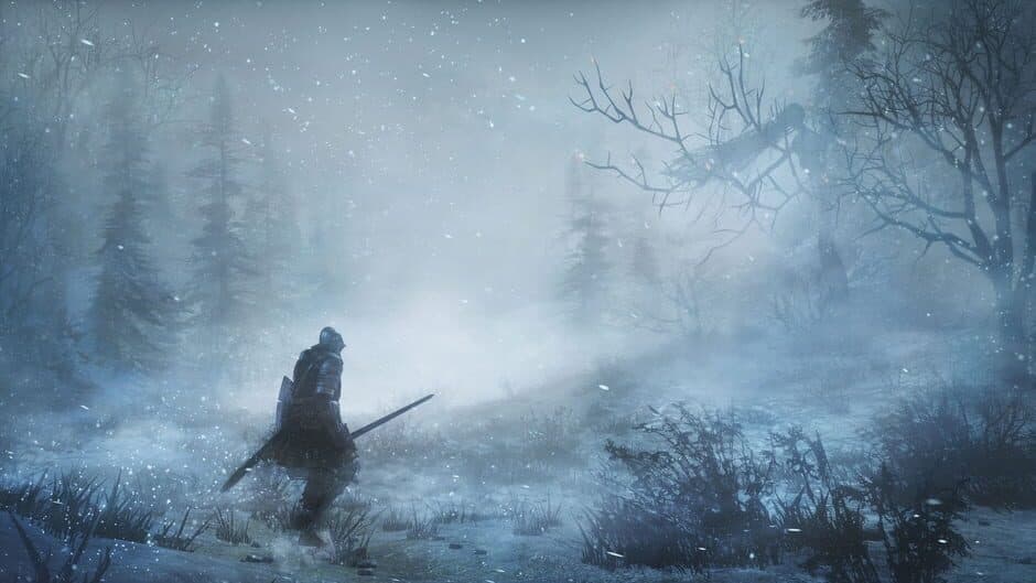 Dark Souls 3: Ashes of Ariandel screenshot 5