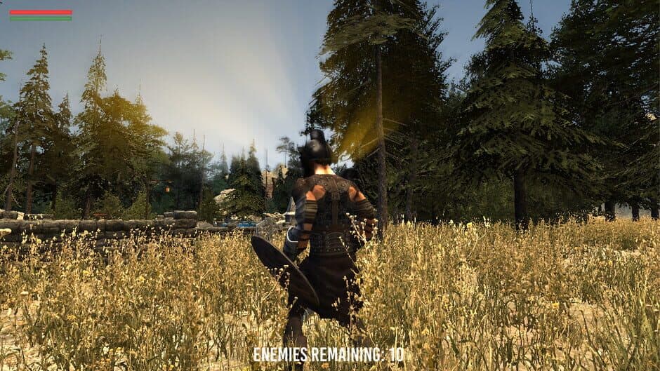 Barbarian Souls screenshot 2