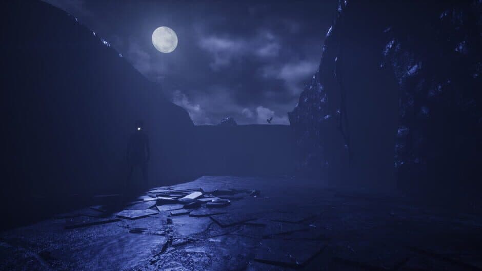 Sleeping Dawn screenshot 3