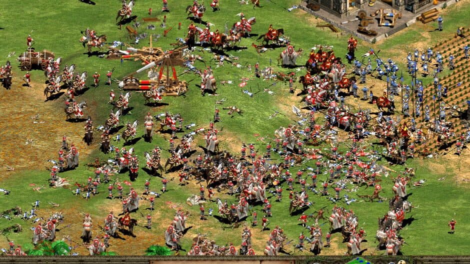 Age of Empires II screenshot 3