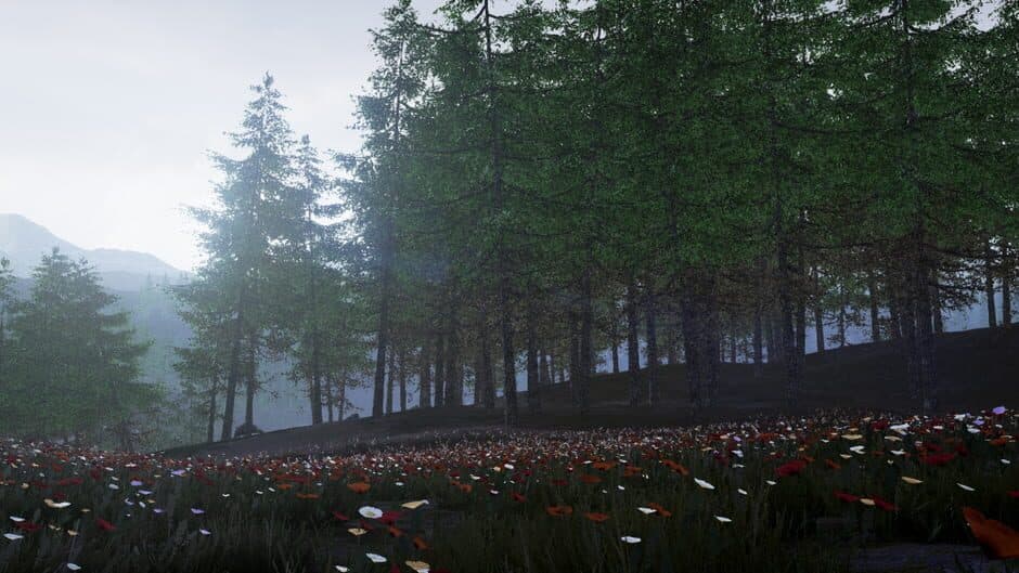 Conclusion screenshot 2