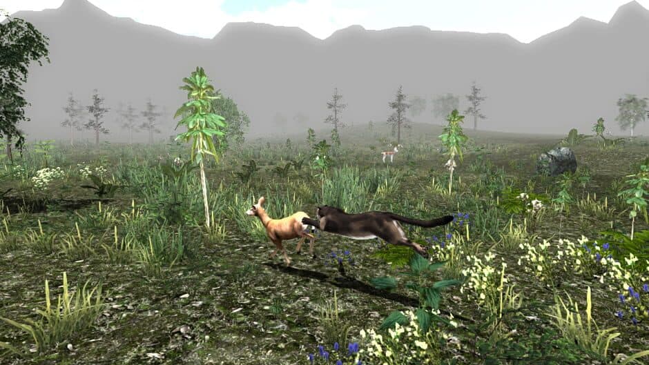 Untamed: Life Of A Cougar screenshot 2
