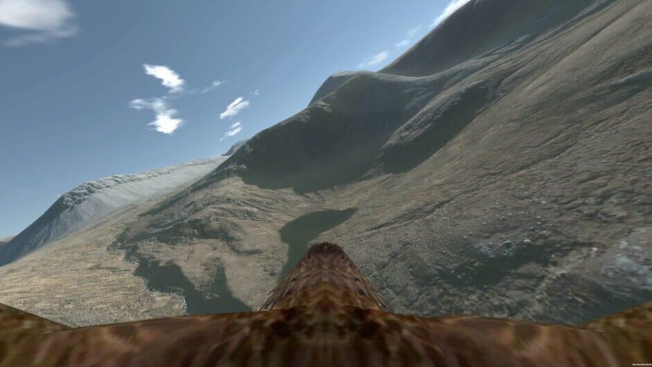 Aquila Bird Flight Simulator screenshot 2