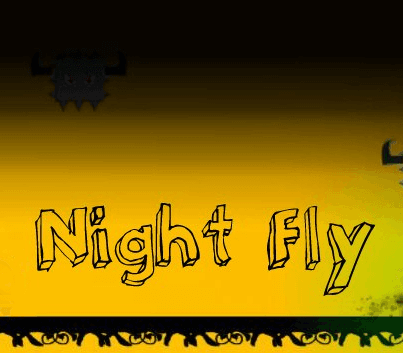 Night Fly