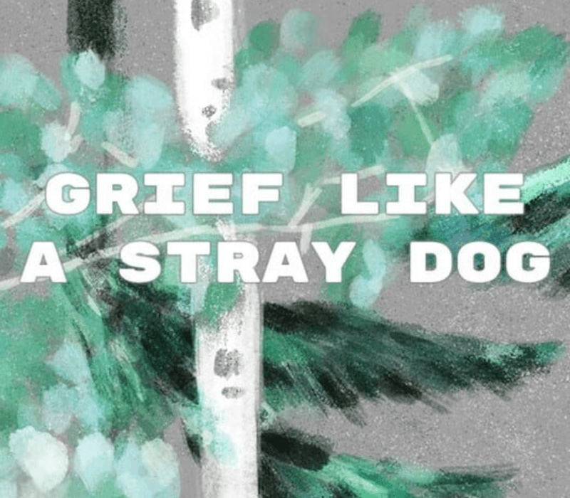 Grief like a stray dog