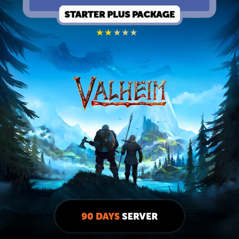 Valheim 90 days Private Server - Starter Plus Package