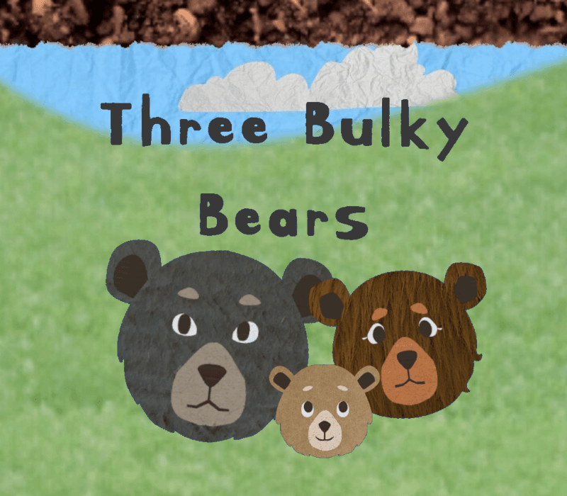 Three Bulky Bears
