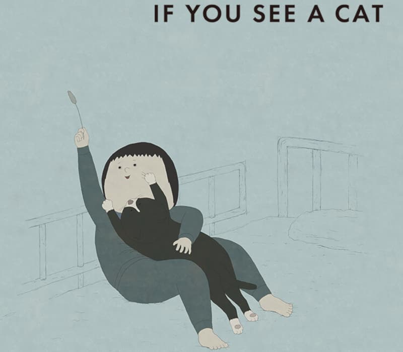 IF YOU SEE A CAT