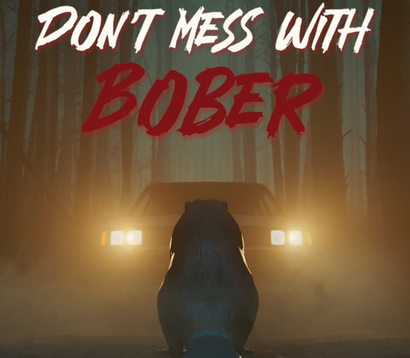 Don't Mess With Bober