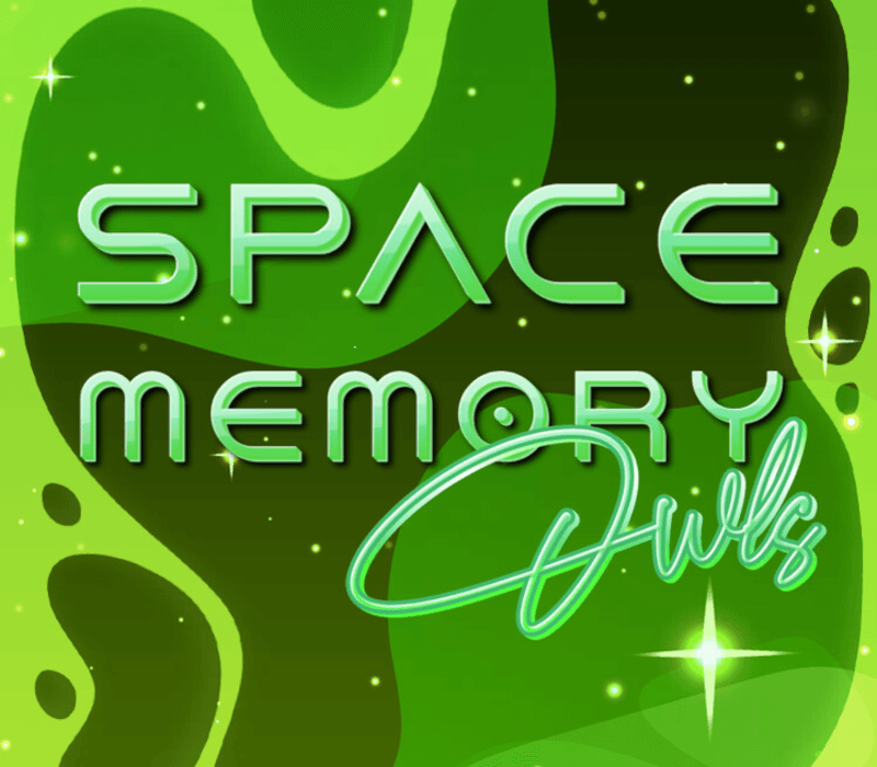 Space Memory: Owls