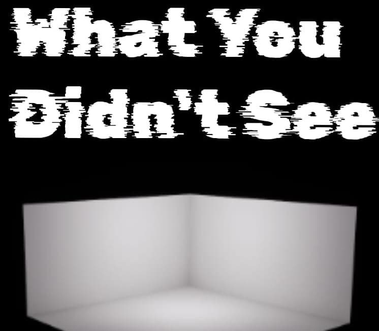 What You Didn't See