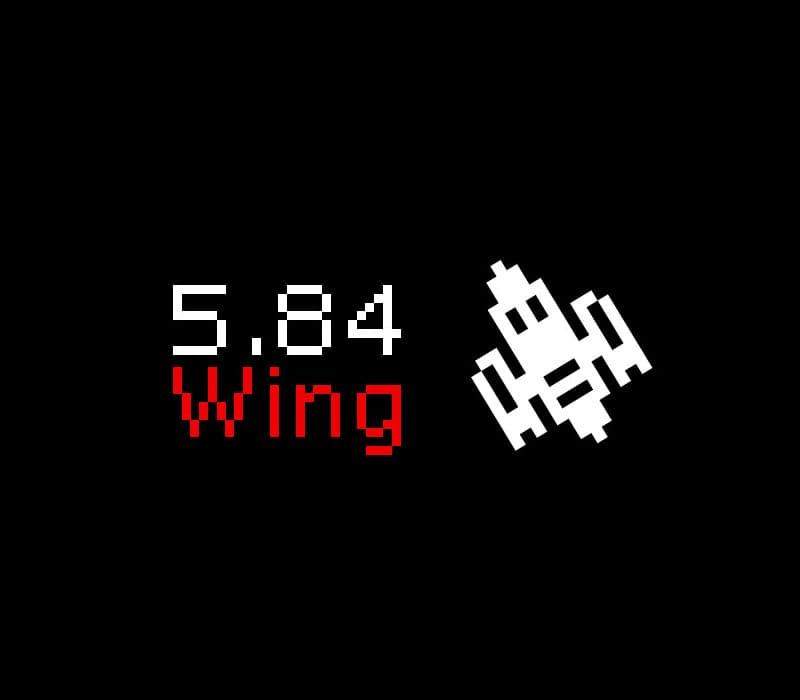 5.84 Wing