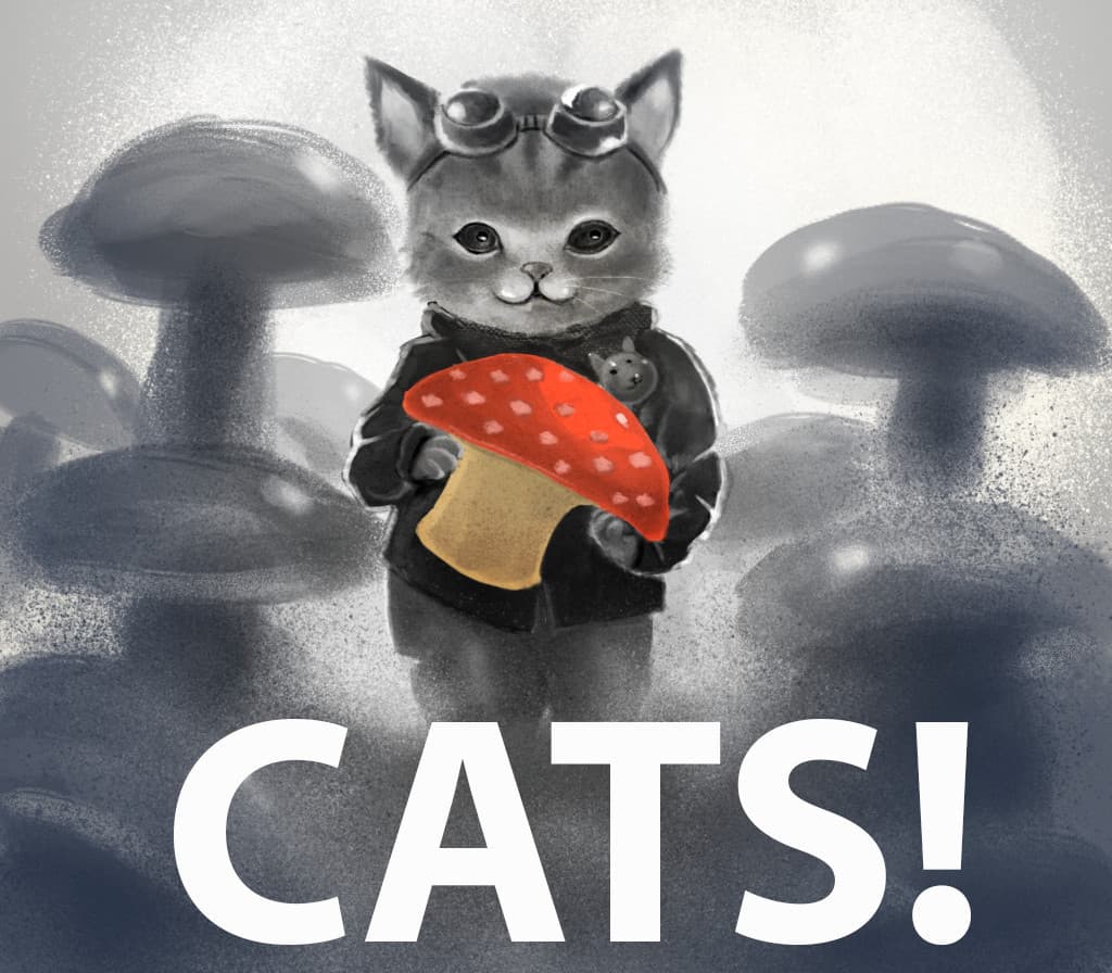 CATS!