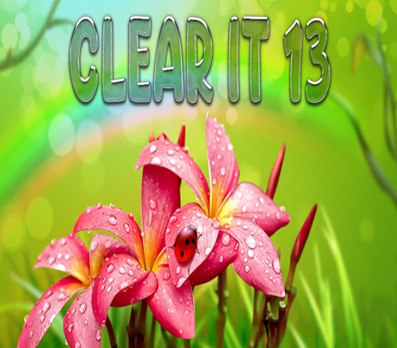 ClearIt 13