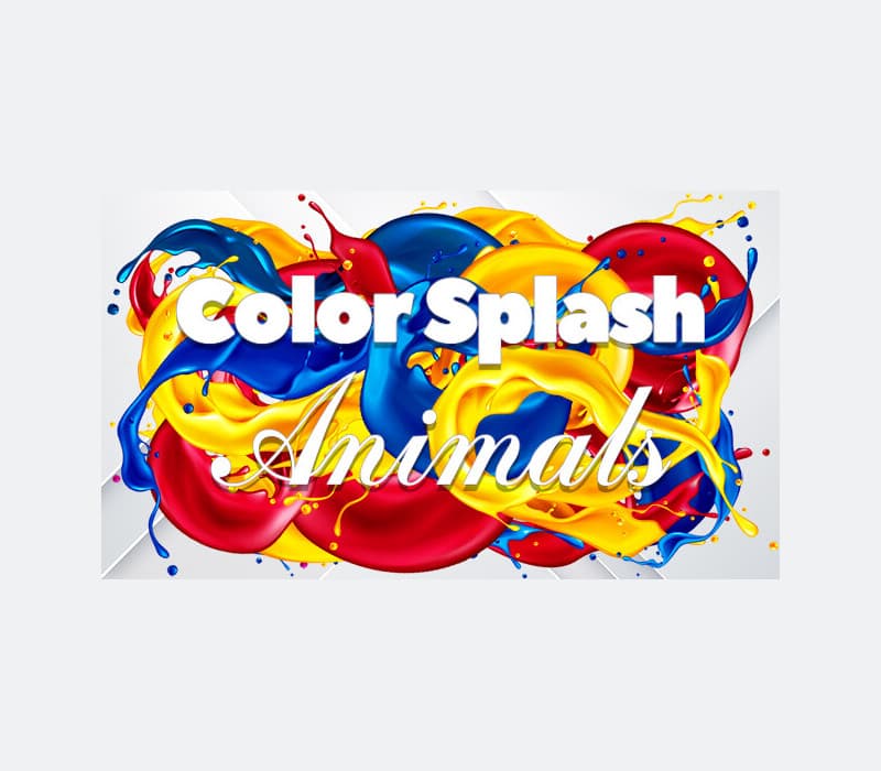 Color Splash: Animals
