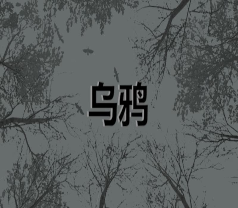 Crows - 乌鸦