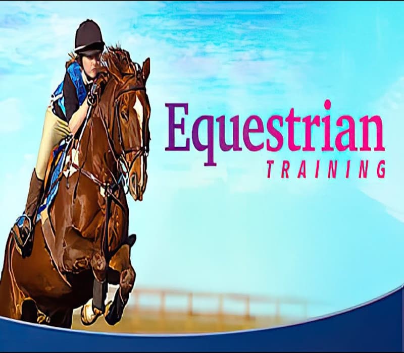 Equestrian Training