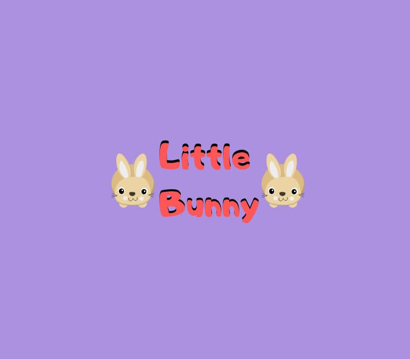 Little Bunny