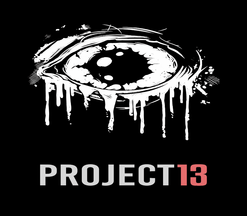 Project 13